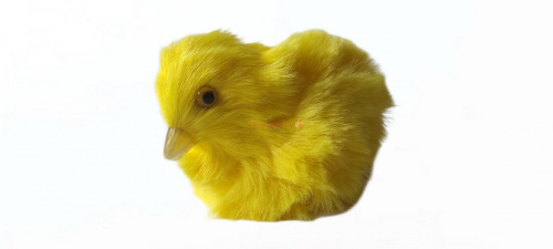 Цыпленок во Дегтярске